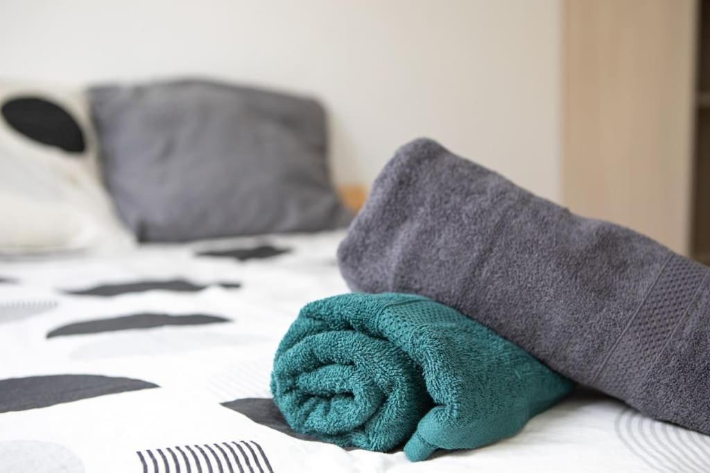 Suite Lumineux Et Moderne, Parking Gratuit, Mulhouse Centre エクステリア 写真